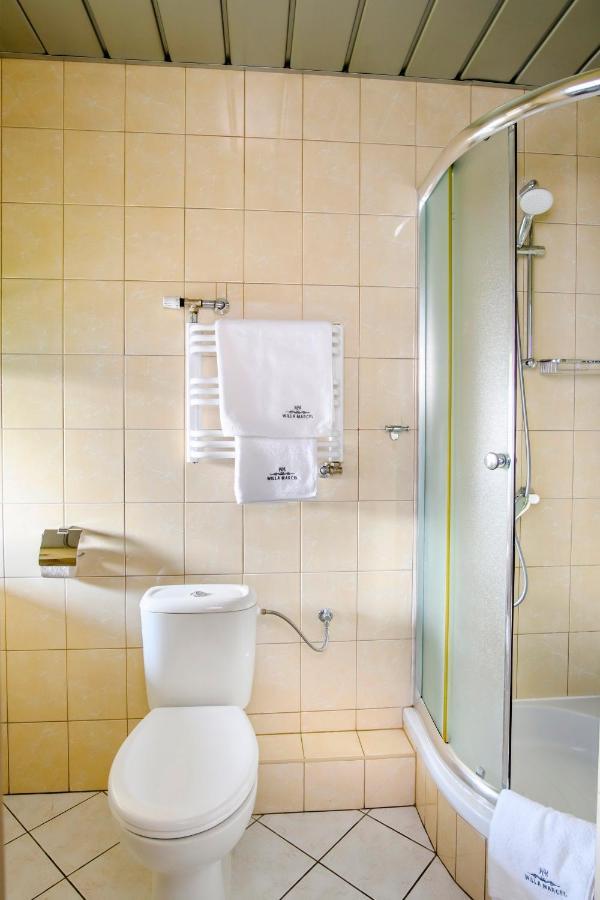 Willa Marcel Park Villa Busko-Zdroj Bagian luar foto